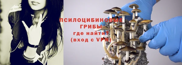 соль ск Алзамай