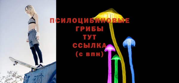соль ск Алзамай
