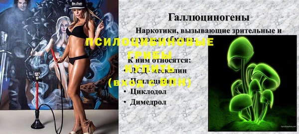 гашик Алексеевка
