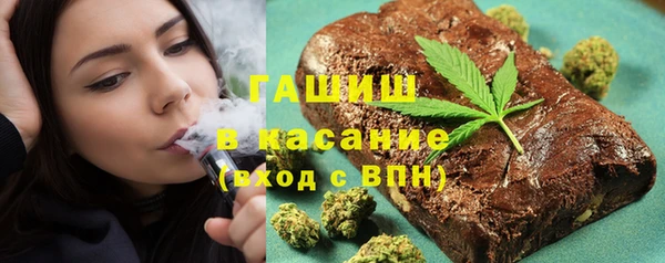 гашик Алексеевка